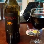 Wild Boar Sanglier Noble