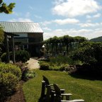 Hillsborough Vineyards