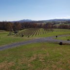 What We’ve Learned and What’s Left This Year?