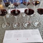 Back to the Mountain Before the Snow!