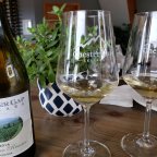 Sunday Afternoon at Chester Gap Cellars