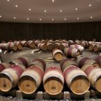 Is that Oak in Your Wine or are You Just Glad to See Me?