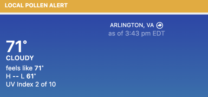 Screen Shot 2019-04-07 at 3.51.15 PM