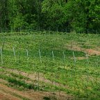 Taking This to New Places