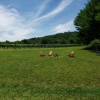 Responding to Climate Change