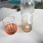 An Evening of Beach Rose