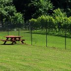 There is no I in Team: Interview with Seth Chambers, Winemaker at Winery at La Grange