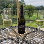 Taking Her Seat at the Table: WineMaker Interview with Katie DeSouza Henley