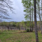 Exploring Mount Alto Vineyards