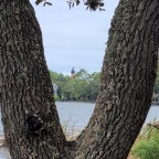 What We Drank Last Night: September 25, 2023 Edition