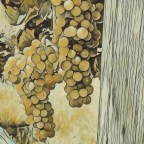 I Am *NOT* a Viognier Guy