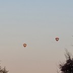 Closing Out Virginia Wine Month