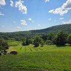 2025 Wine Blog in Rewind